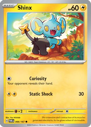 Shinx (066/167)  [SV06: Twilight Masquerade]