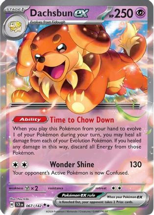 Dachsbun ex (67/142) Holofoil [SV07: Stellar Crown]