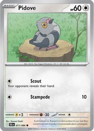 Pidove (071/086) Reverse Holofoil [SV: Black Bolt]