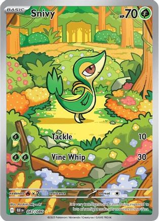 Snivy (087/086) Holofoil [SV: Black Bolt]