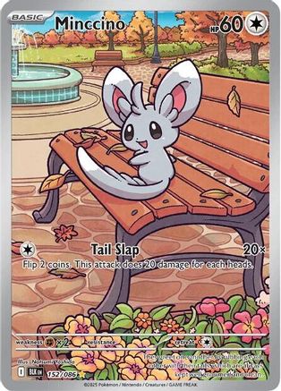 Minccino (152/086) Holofoil [SV: Black Bolt]