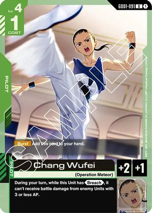 Chang Wufei (GD01-091)  [Newtype Rising]