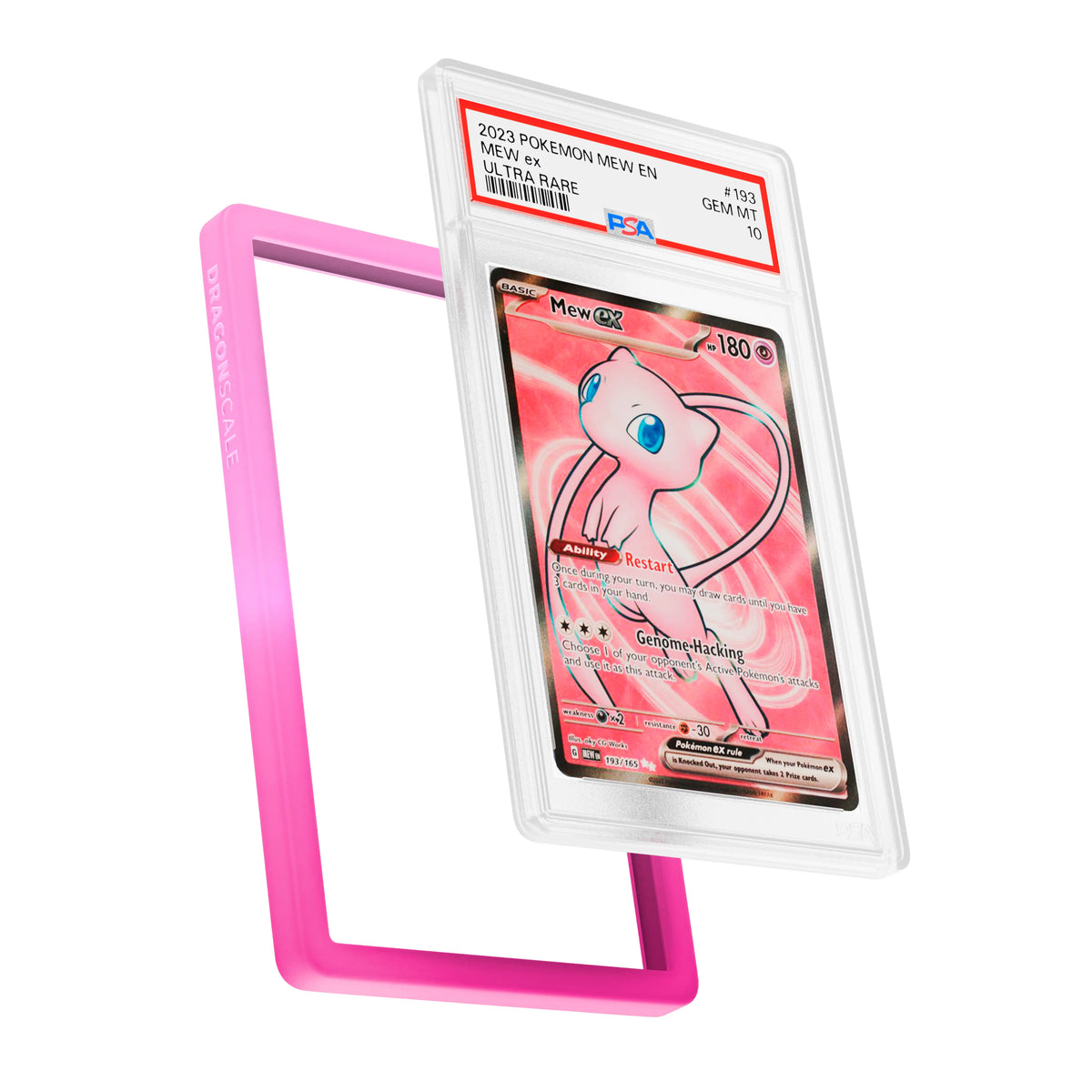 PSA Slab Guard (Gradient)