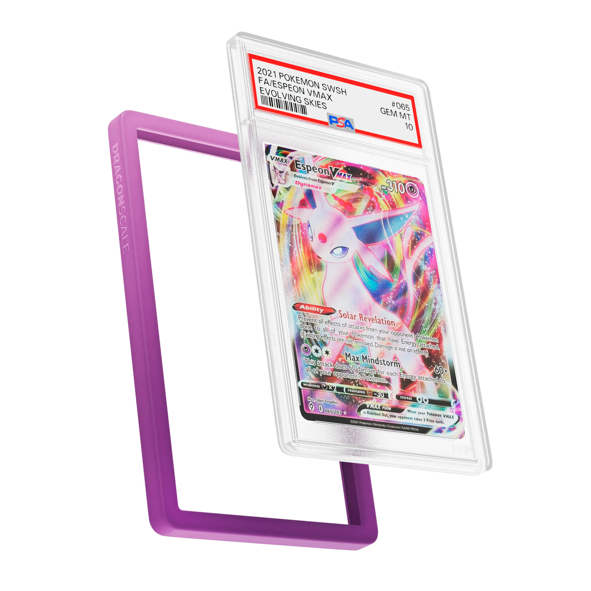 PSA Slab Guard (Gradient)