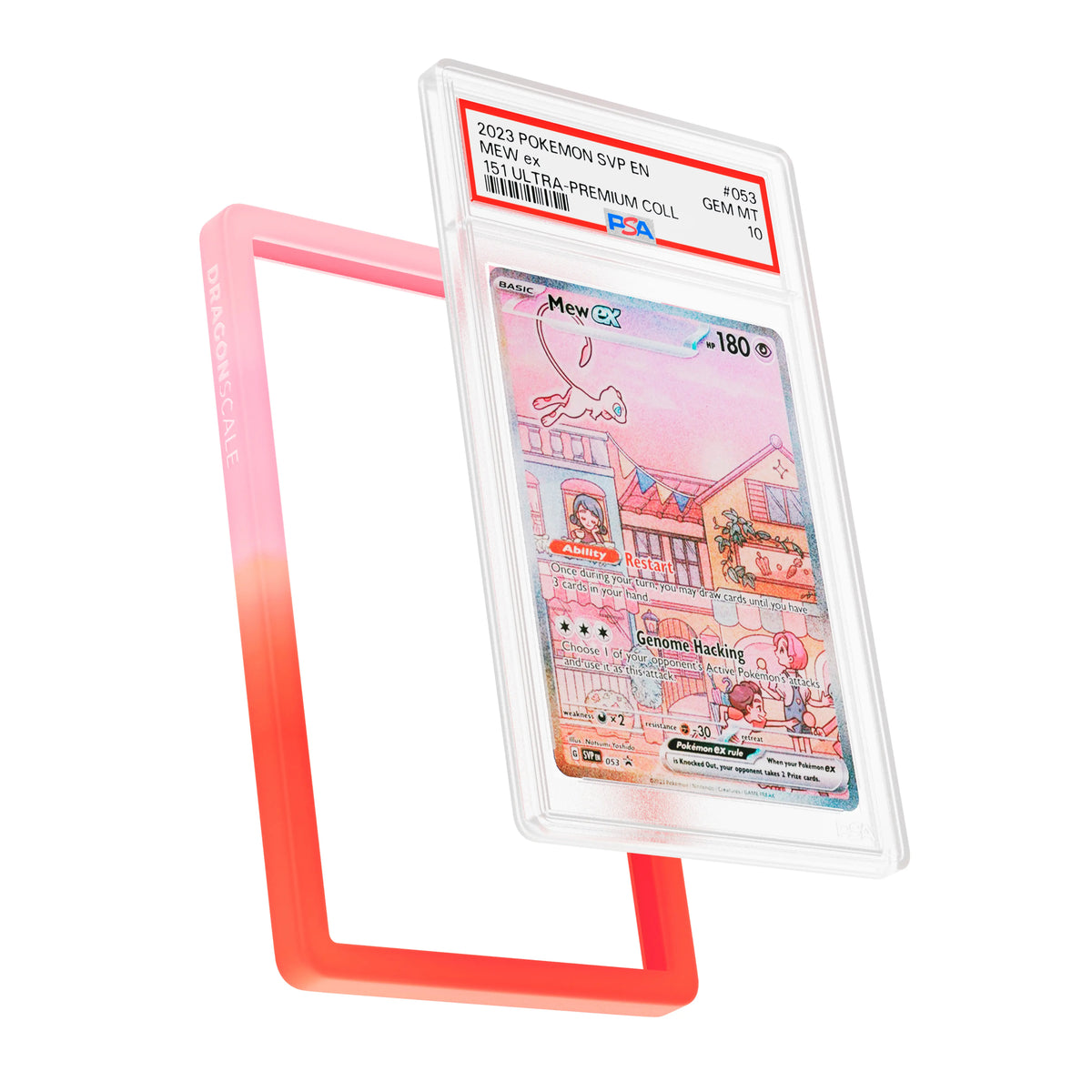 PSA Slab Guard (Gradient)