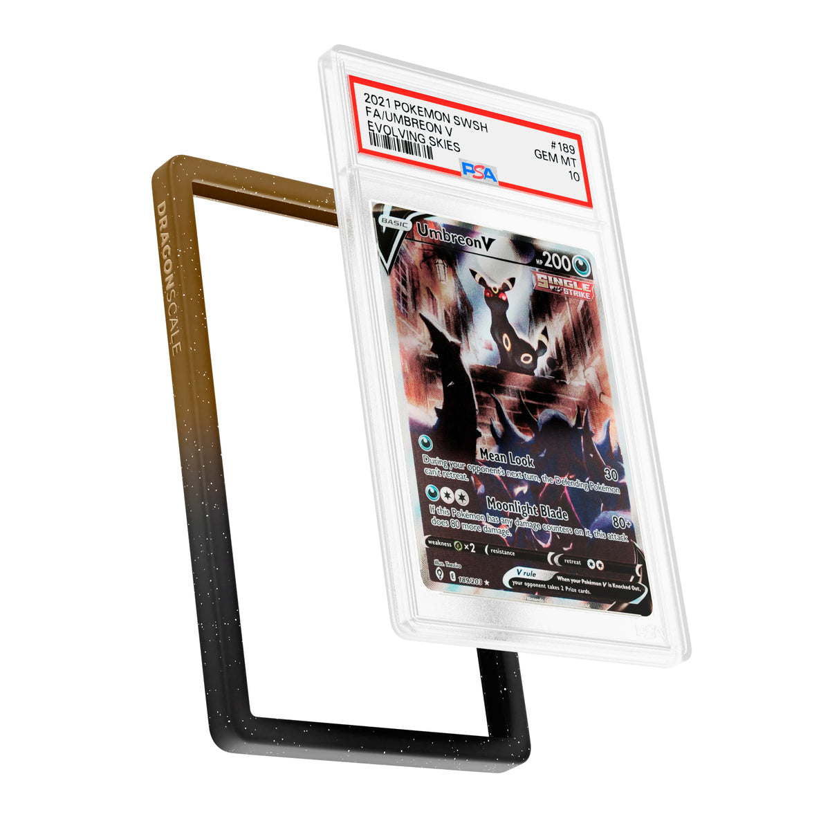 PSA Slab Guard (Gradient)