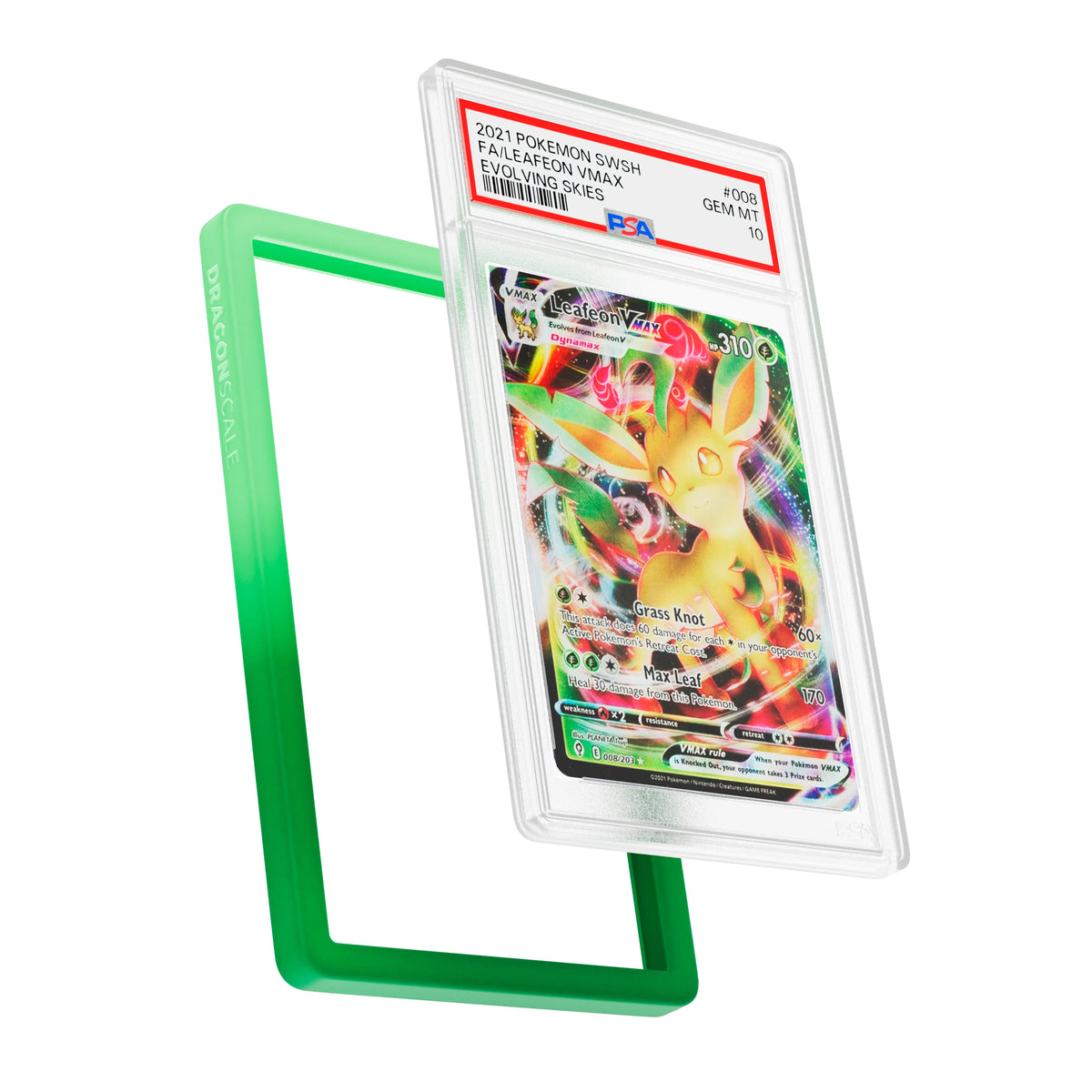 PSA Slab Guard (Gradient)